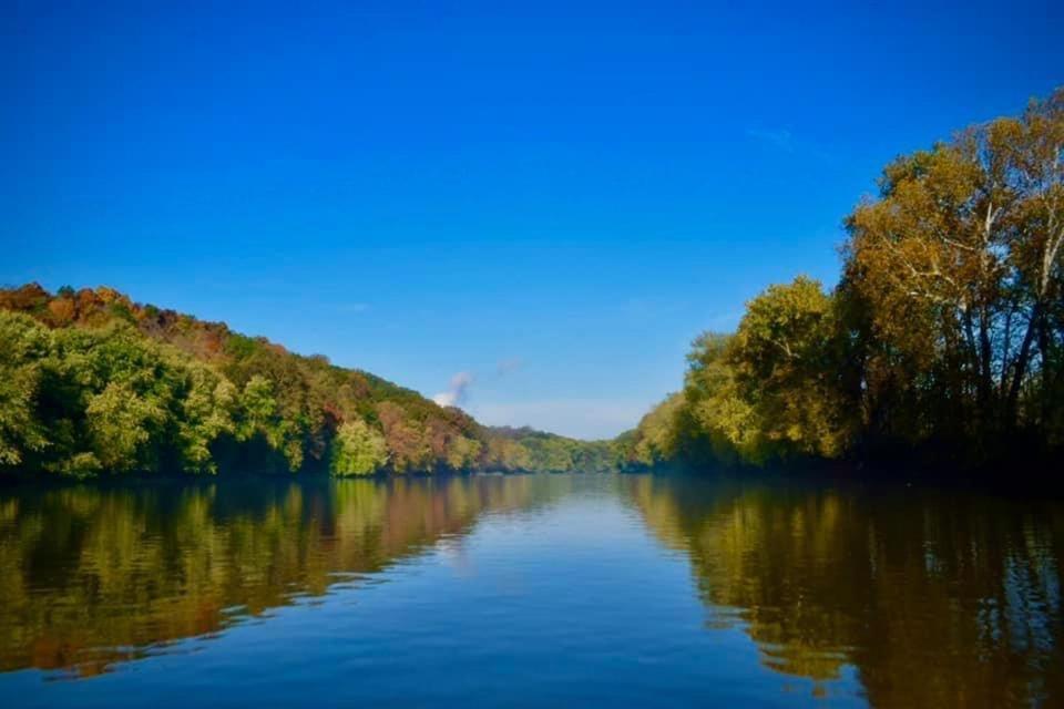 Martin'S River Cabin Dresden Εξωτερικό φωτογραφία